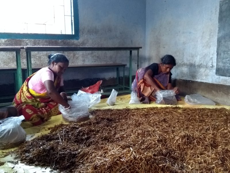 きのこ菌床作り順調です インドの村でngo活動やってます Npo法人わぴねす